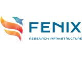 Logo Fenix